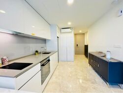 Amber Park (D15), Condominium #532263431